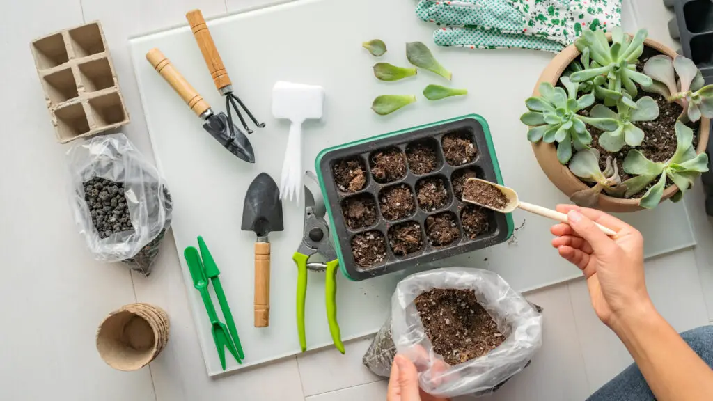 how-to-make-seed-starting-mix-at-home