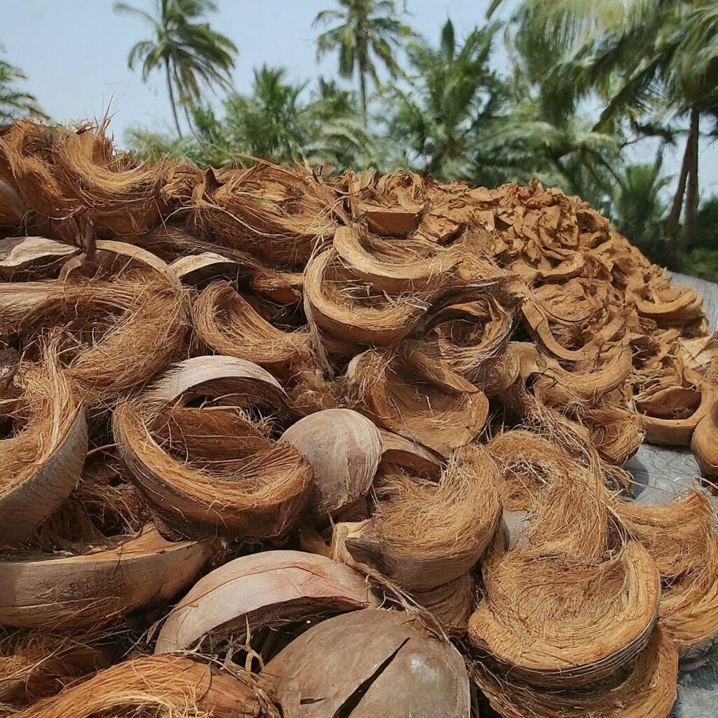 Coconut Coir Processing