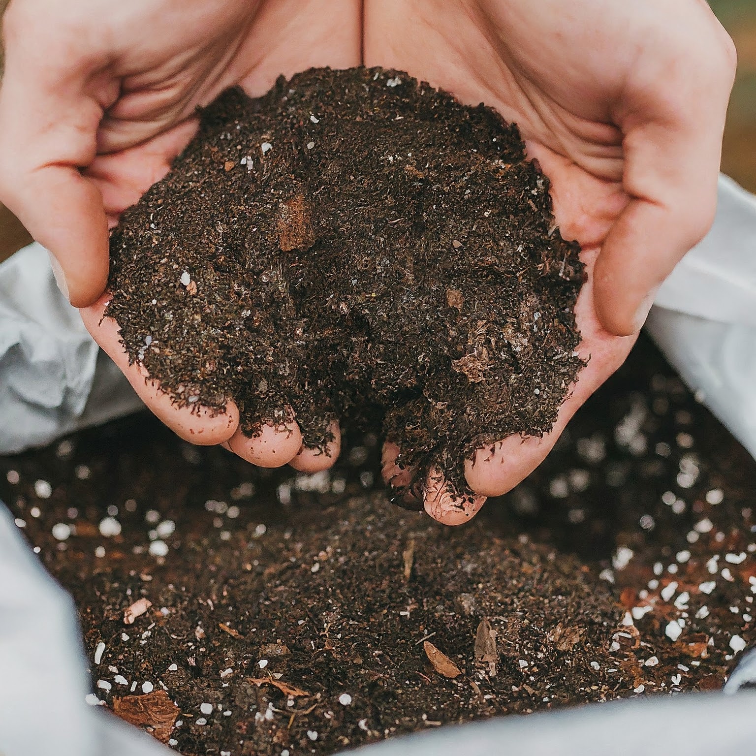 Potting Mix 101: Everything You Want to Know